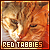  Red Tabby Cats